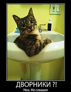 click for enlarge 480 X 622 52.8 Kb picture