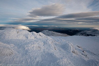 click for enlarge 800 X 533 81.5 Kb picture