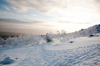 click for enlarge 800 X 533 82.1 Kb picture