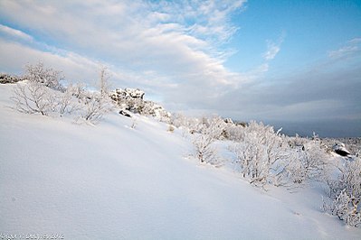 click for enlarge 800 X 533 68.7 Kb picture