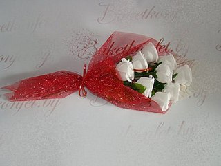 click for enlarge 448 X 336  23.1 Kb picture