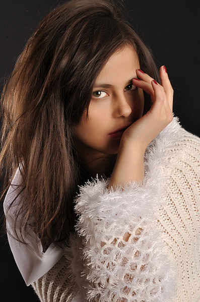 click for enlarge 1920 X 2896 618.3 Kb picture