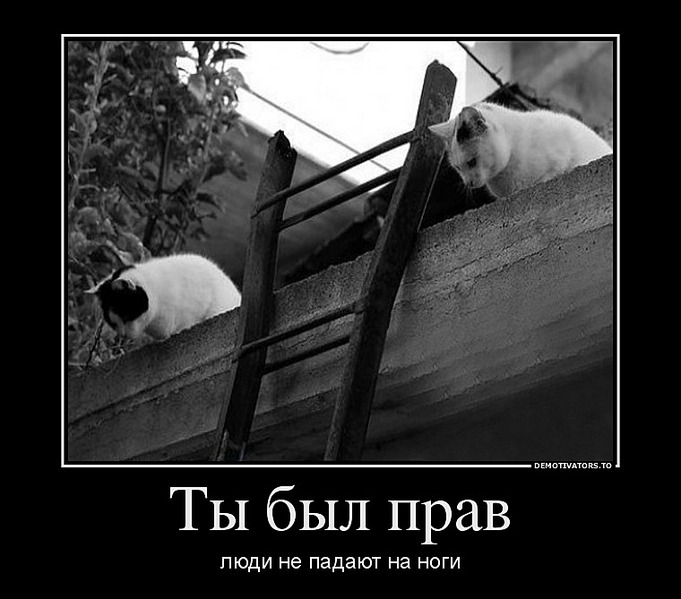 click for enlarge 760 X 669  81.7 Kb picture