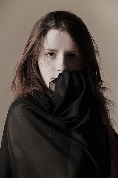 click for enlarge 1920 X 2890 350.8 Kb picture