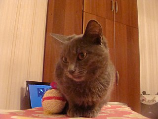 click for enlarge 1280 X 960 201.9 Kb picture