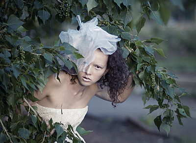 click for enlarge 800 X 586 350.8 Kb picture