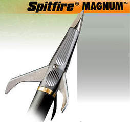 click for enlarge 391 X 369  14.7 Kb picture