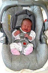 click for enlarge 199 X 300  22.9 Kb picture