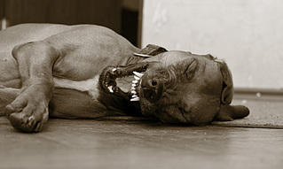 click for enlarge 818 X 490 113.2 Kb picture