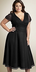 click for enlarge 250 X 500  32.2 Kb picture