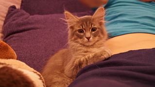 click for enlarge 1920 X 1076 456.1 Kb picture