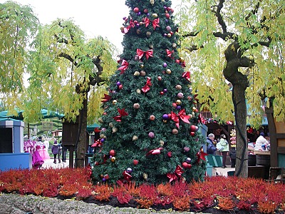 click for enlarge 800 X 600 267.7 Kb picture