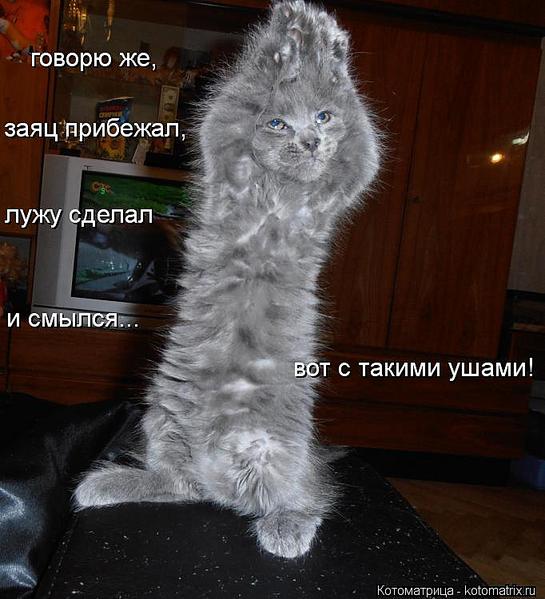 click for enlarge 682 X 750  66.9 Kb picture