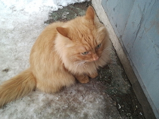 click for enlarge 1920 X 1440 938.0 Kb picture