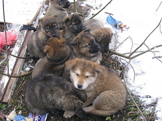 click for enlarge 1920 X 1440 670.4 Kb picture