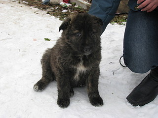 click for enlarge 1920 X 1440 484.1 Kb picture