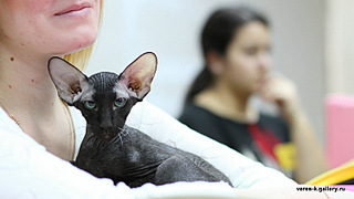 click for enlarge 750 X 422  76.9 Kb picture