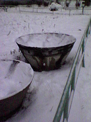 click for enlarge 480 X 640 95.7 Kb picture