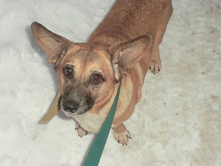 click for enlarge 1920 X 1440 536.1 Kb picture