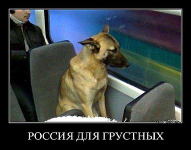 click for enlarge 780 X 615 53.0 Kb picture