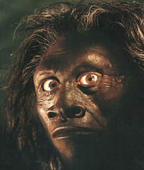 click for enlarge 300 X 355  26.4 Kb picture