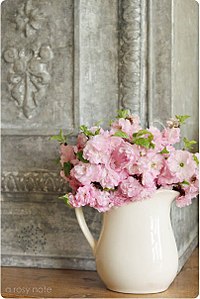 click for enlarge 403 X 604 51.6 Kb picture