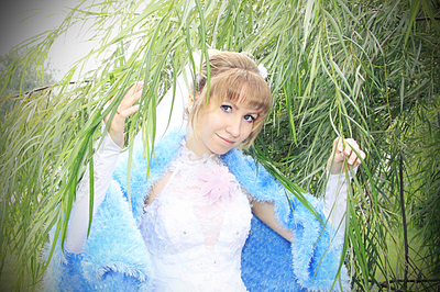 click for enlarge 1100 X 732 916.5 Kb picture