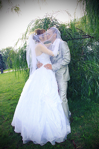 click for enlarge 733 X 1100 799.2 Kb picture