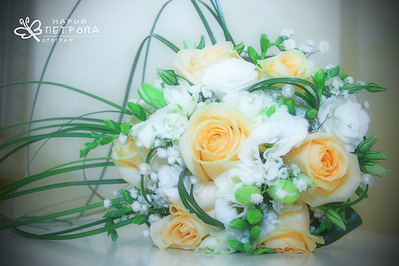 click for enlarge 1200 X 800 615.6 Kb picture