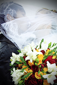 click for enlarge 900 X 1350 759.2 Kb picture