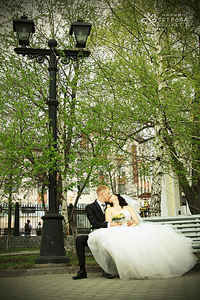 click for enlarge 700 X 1050 222.7 Kb picture