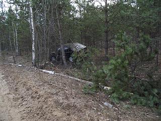 click for enlarge 1024 X 768 218.2 Kb picture