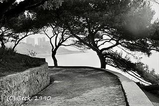 click for enlarge 448 X 299 33.2 Kb picture