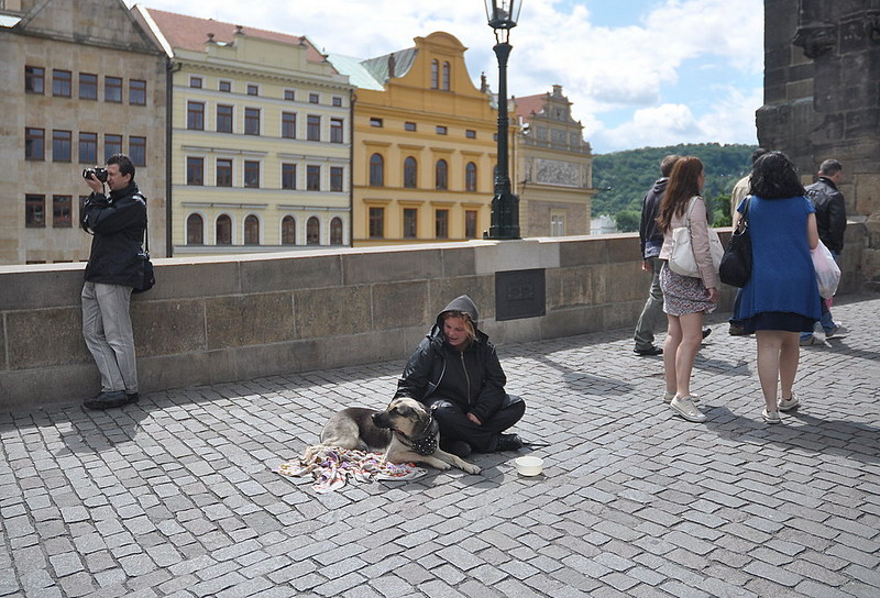 click for enlarge 1000 X 680 234.6 Kb picture