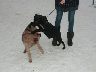 click for enlarge 1920 X 1440 382.7 Kb picture