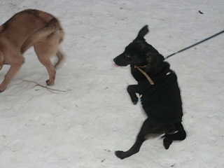 click for enlarge 1920 X 1440 361.5 Kb picture