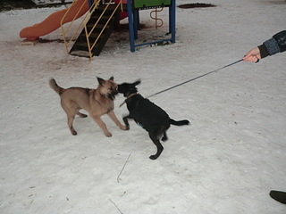 click for enlarge 1920 X 1440 470.7 Kb picture