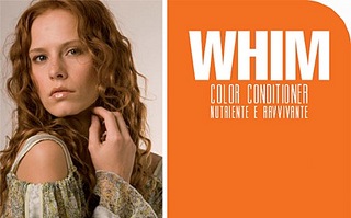 click for enlarge 450 X 280 35.0 Kb picture