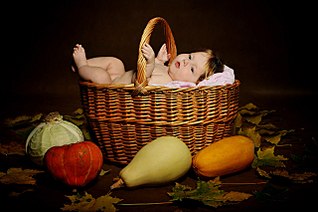 click for enlarge 1280 X 851 193.6 Kb picture