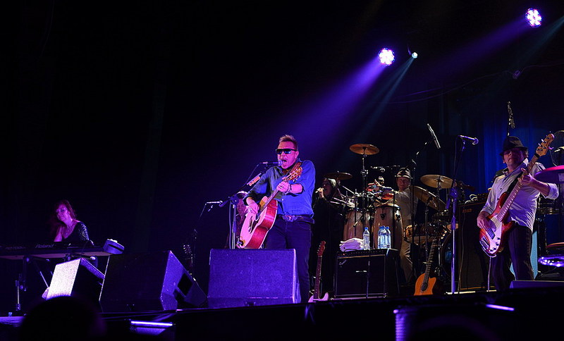 click for enlarge 1000 X 605 117.0 Kb picture