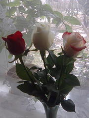 click for enlarge 1200 X 1600 256.8 Kb picture