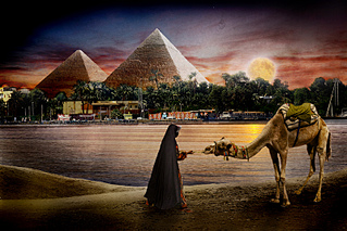 click for enlarge 800 X 533 255.4 Kb picture