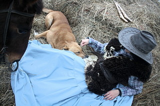 click for enlarge 1920 X 1280 578.9 Kb picture