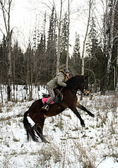 click for enlarge 1811 X 2592 733.8 Kb picture