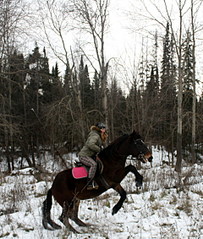 click for enlarge 1920 X 2259 940.4 Kb picture