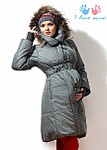 click for enlarge 215 X 301 25.3 Kb picture