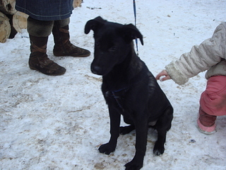 click for enlarge 1920 X 1440 152.8 Kb picture