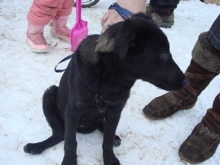 click for enlarge 1920 X 1440 187.5 Kb picture