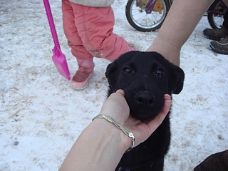 click for enlarge 1920 X 1440 145.7 Kb picture