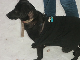 click for enlarge 1920 X 1440 387.6 Kb picture